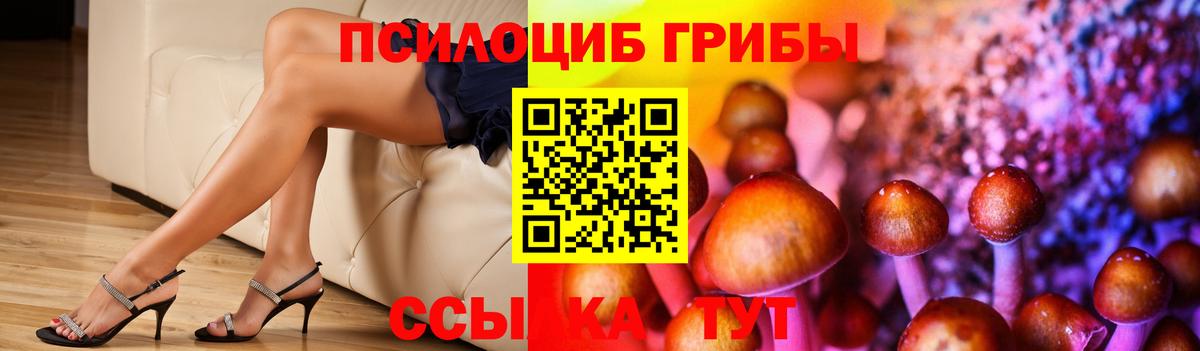 Галлюциногенные грибы мицелий  Вход с VPN  Ишим 